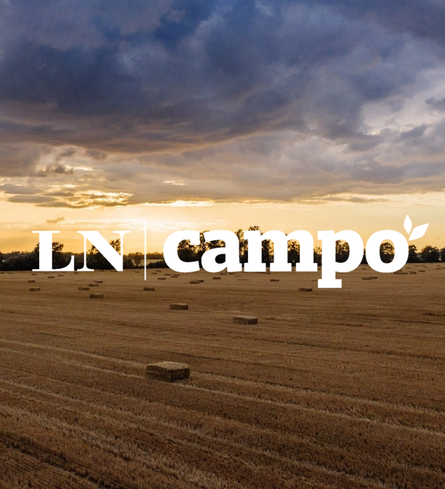 LN Campo: el nuevo sitio que acompaña la evolución de un sector clave