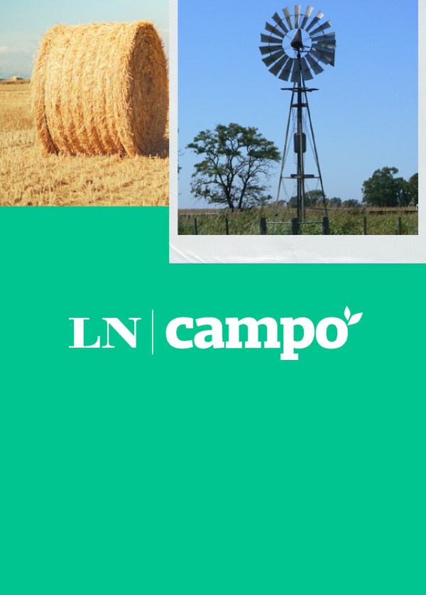 LN CAMPO